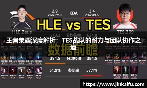 王者荣耀深度解析：TES战队的耐力与团队协作之道